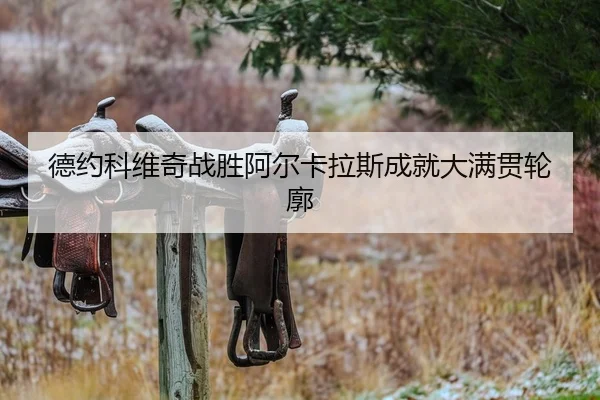 德约科维奇战胜阿尔卡拉斯成就大满贯轮廓 - HAOMEN