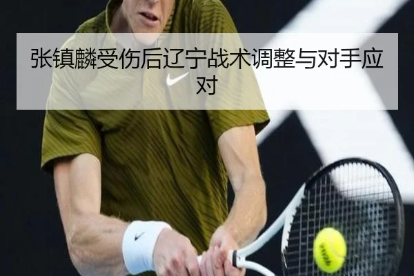 张镇麟受伤后辽宁战术调整与对手应对